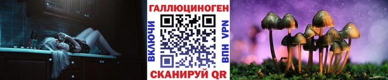 площадка как зайти Чёрмоз Галлюциногенные грибы Magic Shrooms цена
